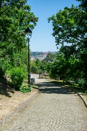 Paved sidewalk with an old lamp in a park among trees in the center of Prague, Czech Republic