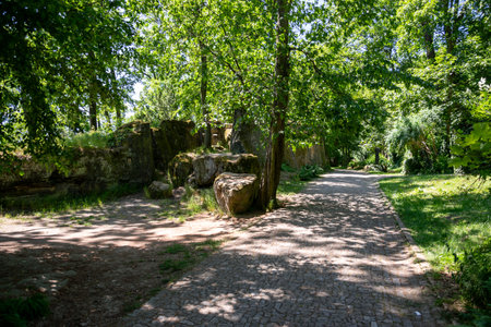 A path among the trees in Petrin Park in the center of Prague in the Czech Republic.の写真素材