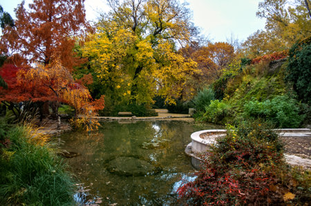 Budapest, Hungary - October 10, 2012: Pakr in Margaret Island in autumn with colorful leaves with a pond.のeditorial素材