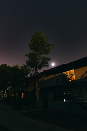 a tree that was lit up by the night sky.の写真素材
