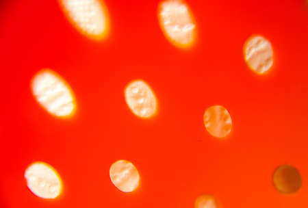 Yellow plastic texture with round holes in the blur, Londonのeditorial素材