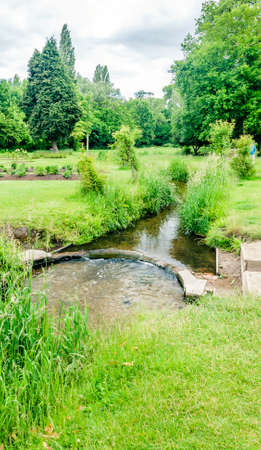 The river Wandle meandering through shady woodland at Morden Hall Park in south west London.