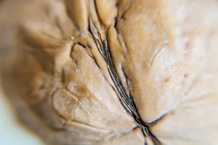 London, United Kingdom, December 03, 2020: A whole walnuts close-upの写真素材