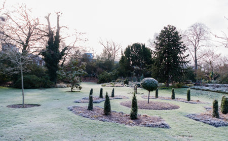 London, United Kingdom, 17 January 2023: Cold plants with ice and frost on a sunny winter day. Park with sunshine lightのeditorial素材