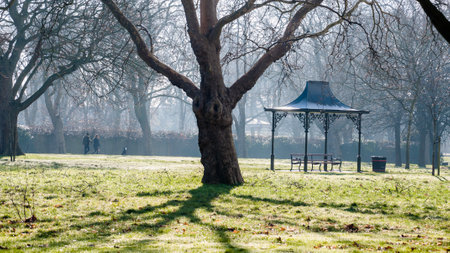 London, United Kingdom, 22 January 2023: Metal gazebo in park in the backgrounds couple unidentified people walking in the parkのeditorial素材