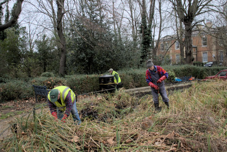 London, United Kingdom, 12 February 2023: Group of men volunteers in park working on overgrow on Dipping pondのeditorial素材