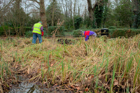 London, United Kingdom, 12 February 2023: Group of men volunteers in park working on overgrow on Dipping pondのeditorial素材