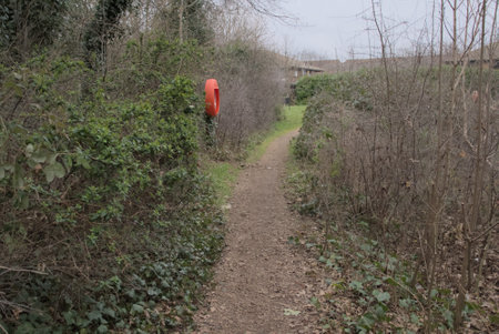 London, United Kingdom, 12 February 2023: Walkway in forest lane park in winter in Londonの写真素材