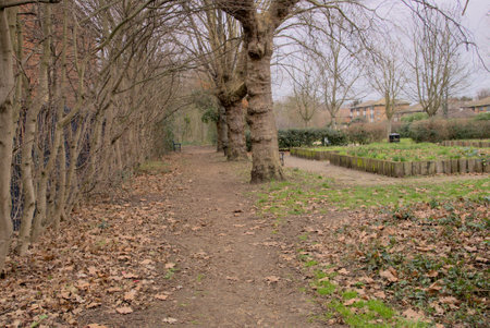 London, United Kingdom, 12 February 2023: Walkway in forest lane park in winter in Londonの写真素材