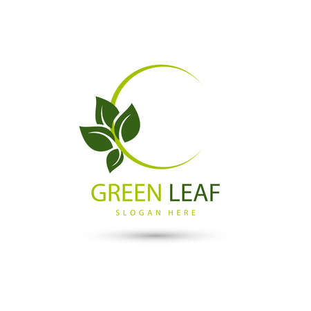 Vector illustration of leaf eco green logo design concept templateのイラスト素材