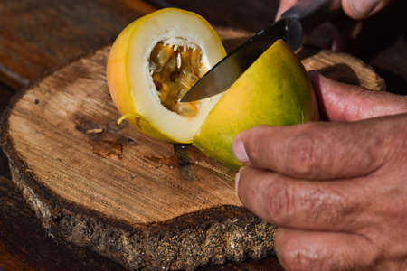 detail of man slicing sweet passion fruitの写真素材