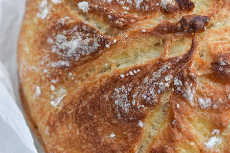 detail of italian tomato and basil focaccia.の写真素材