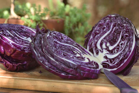 Details of sliced red cabbage.の写真素材