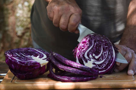 Red cabbage being cut in half.の写真素材