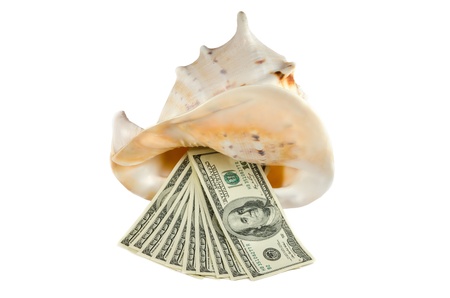 ten hundred-dollar denomination in big shell isolatedの写真素材