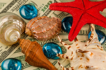 Shells starfish and water drops on dollarsの写真素材