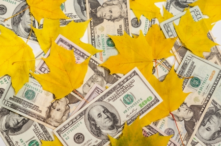 Dollar notes littered up among autumnal yellow maple leavesの写真素材