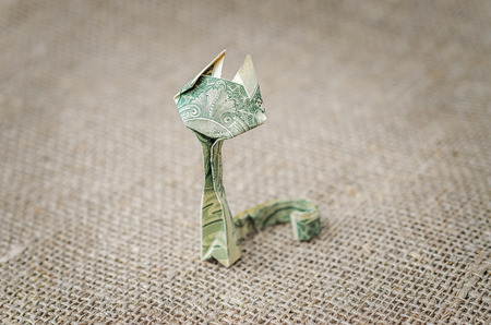 Origami dollar cat on rustic jute background.の写真素材
