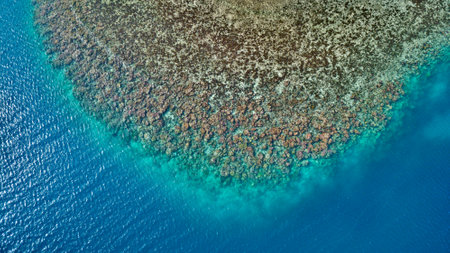 South Pacific Coral Atol.の写真素材