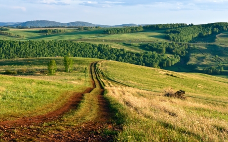Road among hills covered with trees in sunset light.