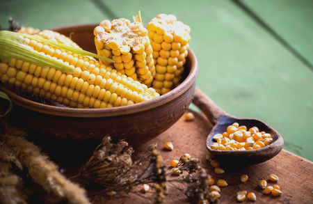 Corn on the plate on a green wooden boardsの写真素材