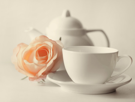 Delicate roses beside a white cupの写真素材