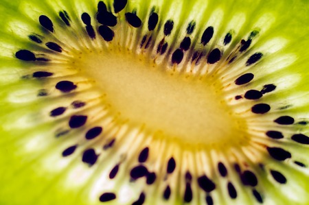 Slice of kiwi close-up.の写真素材