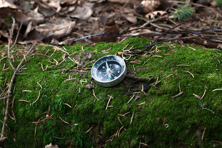compass on a green mossy log in a forestの写真素材
