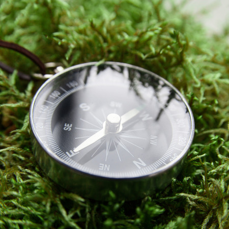 compass close-up in the woods on moss in square