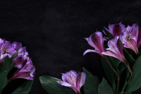 black background decorated with pink flowers bouquetの写真素材