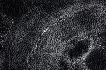 threadbare layer of flour on the black leather surfaceの写真素材