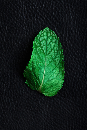mint leaves on black background