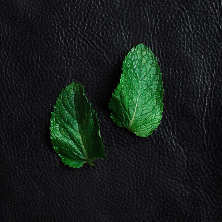 mint leaves on black background