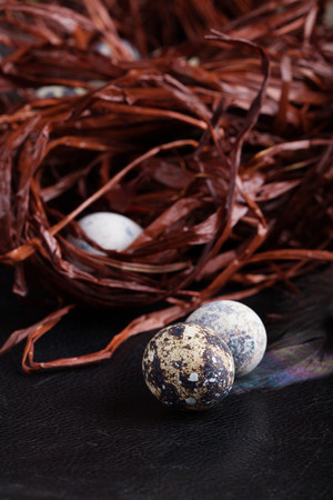 quail eggs lying beside ruined nest. Close-upの写真素材