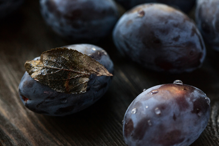 macro photo blue plum with a dry leaf. soft focusの写真素材