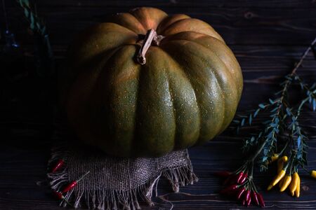 autumn still life with a pumpkin in a dark key and backlightの写真素材