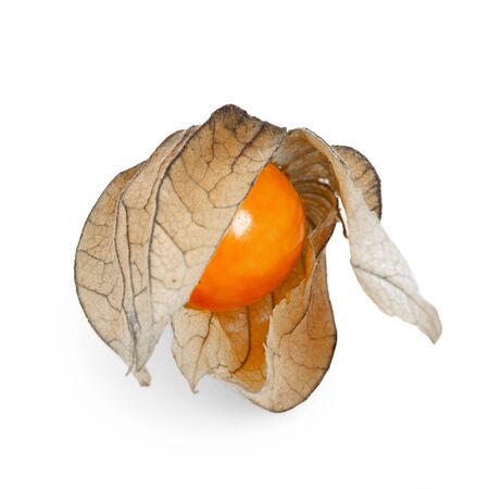 single physalis fruit isolated on white background.の写真素材