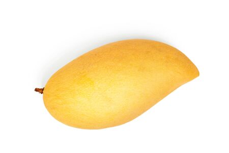 yellow thai mango isolated on white background.の写真素材
