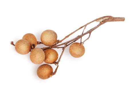 branch with longan fruits isolated on a white backgroundの写真素材