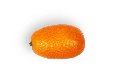 single kumquat fruit isolated on white background.の写真素材