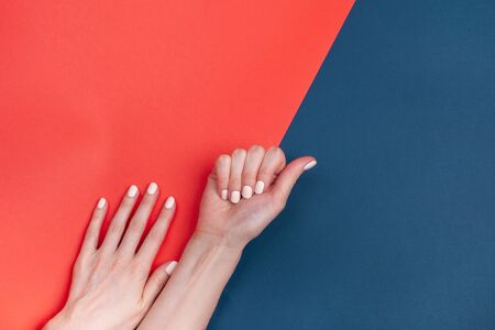 Beautiful female hands with a classic manicure on a blue-red background. Place for your text.の写真素材