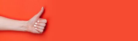 Female hand shows thumb up on red background, banner format, place for textの写真素材
