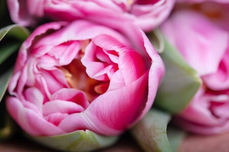 A bouquet of three tulips in a paper wrapper lies on a table. Close up view.の写真素材