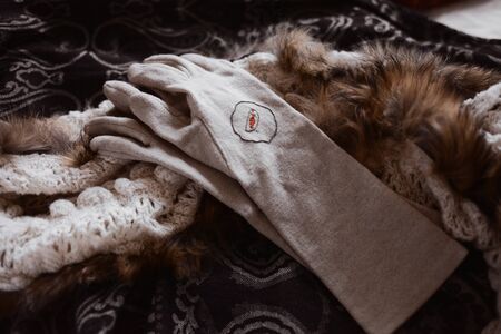 Antique stylized gloves with embroidery and shawl. Retro accessories.の写真素材