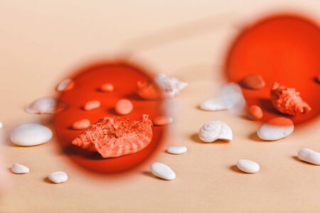Summer through red glasses. Seasonal background with pebbles, shells.の写真素材