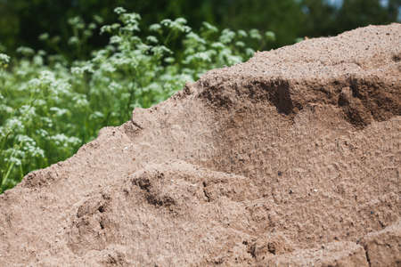 A pile of sand poured into a meadow for construction.