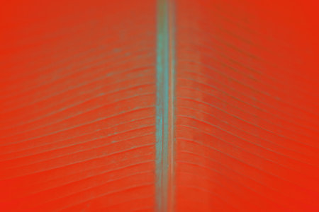 Abstract bright natural background. Surreal leaves of tropical plantsの写真素材