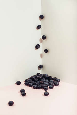 A pile of blueberries is scattered in the corner. Modern still life composition.の写真素材