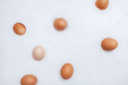 Chicken eggs in the snow. A modern composition about village life. Easter themeの写真素材
