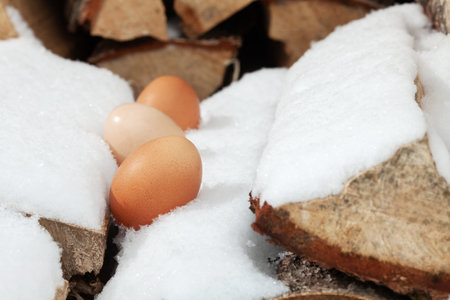 Chicken eggs in the snow. A modern composition about village life.の写真素材